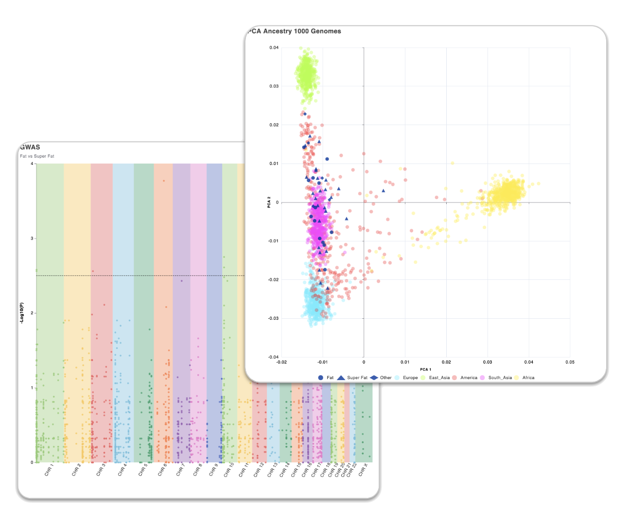 Exploration & Dashboards